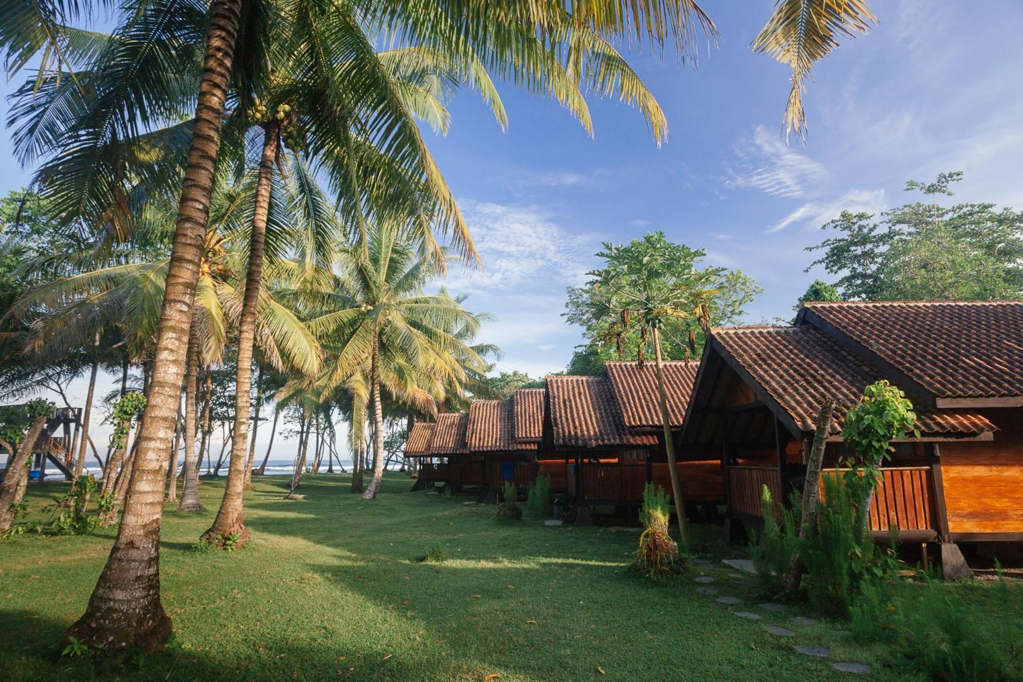 Sumatra Surf Resort Biha Экстерьер фото