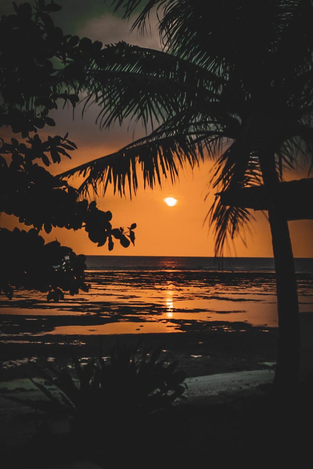 Sumatra Surf Resort Biha Экстерьер фото